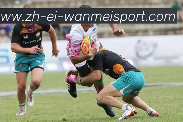 完美体育APP 封面图